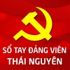 yangy精选